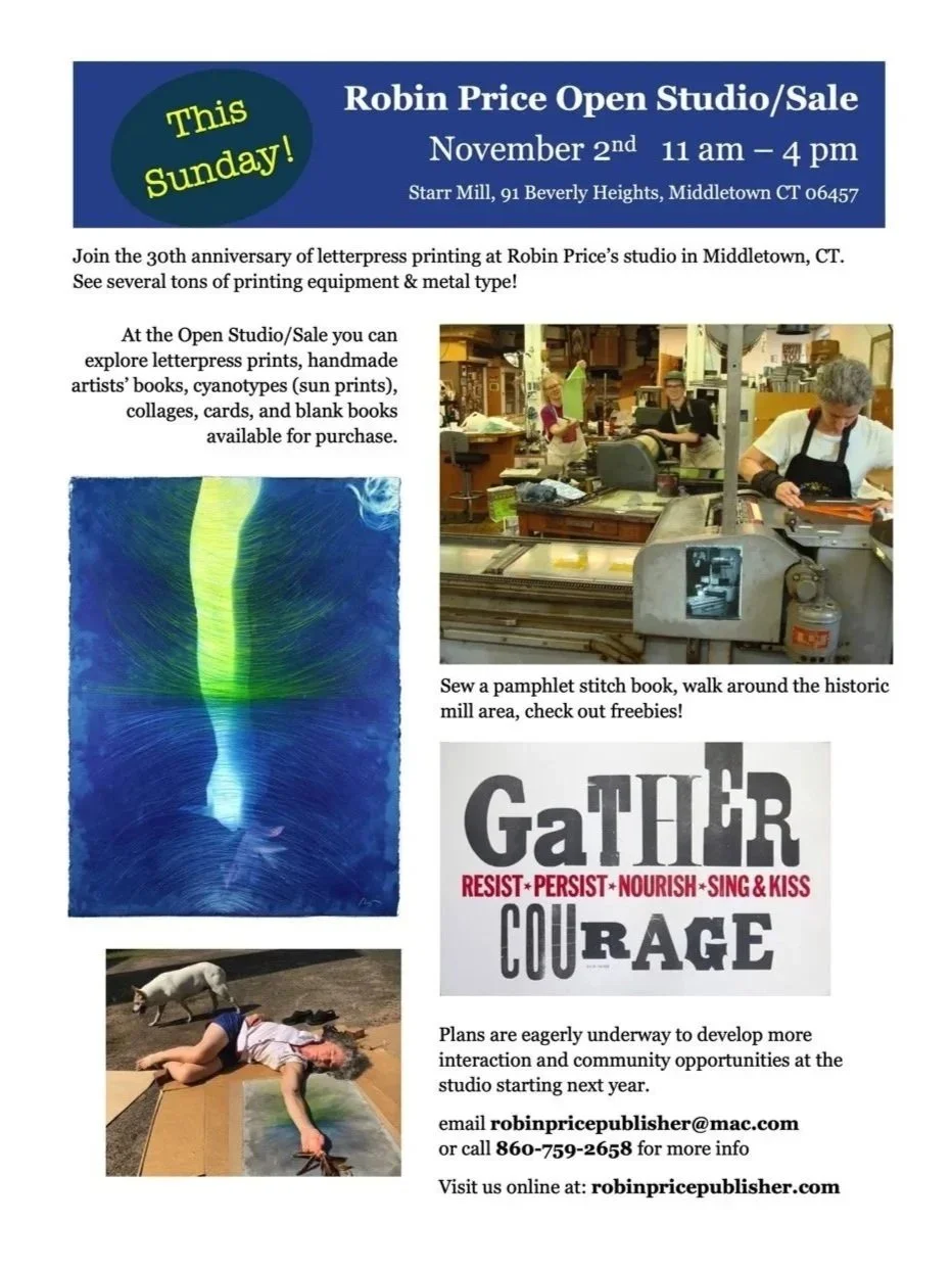 Robin Price Open Studio flyer web.jpeg