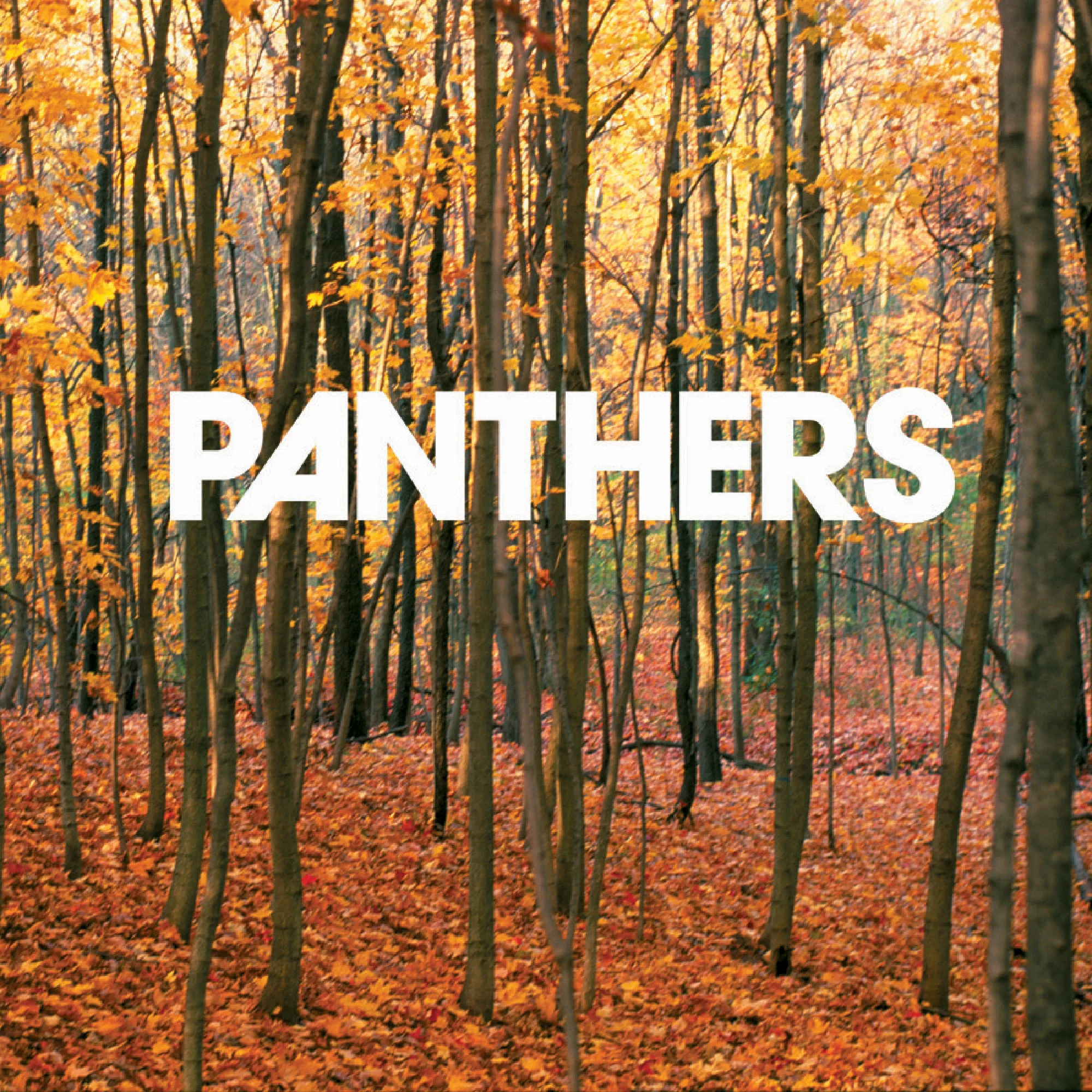 Panthers - Things Are Strange