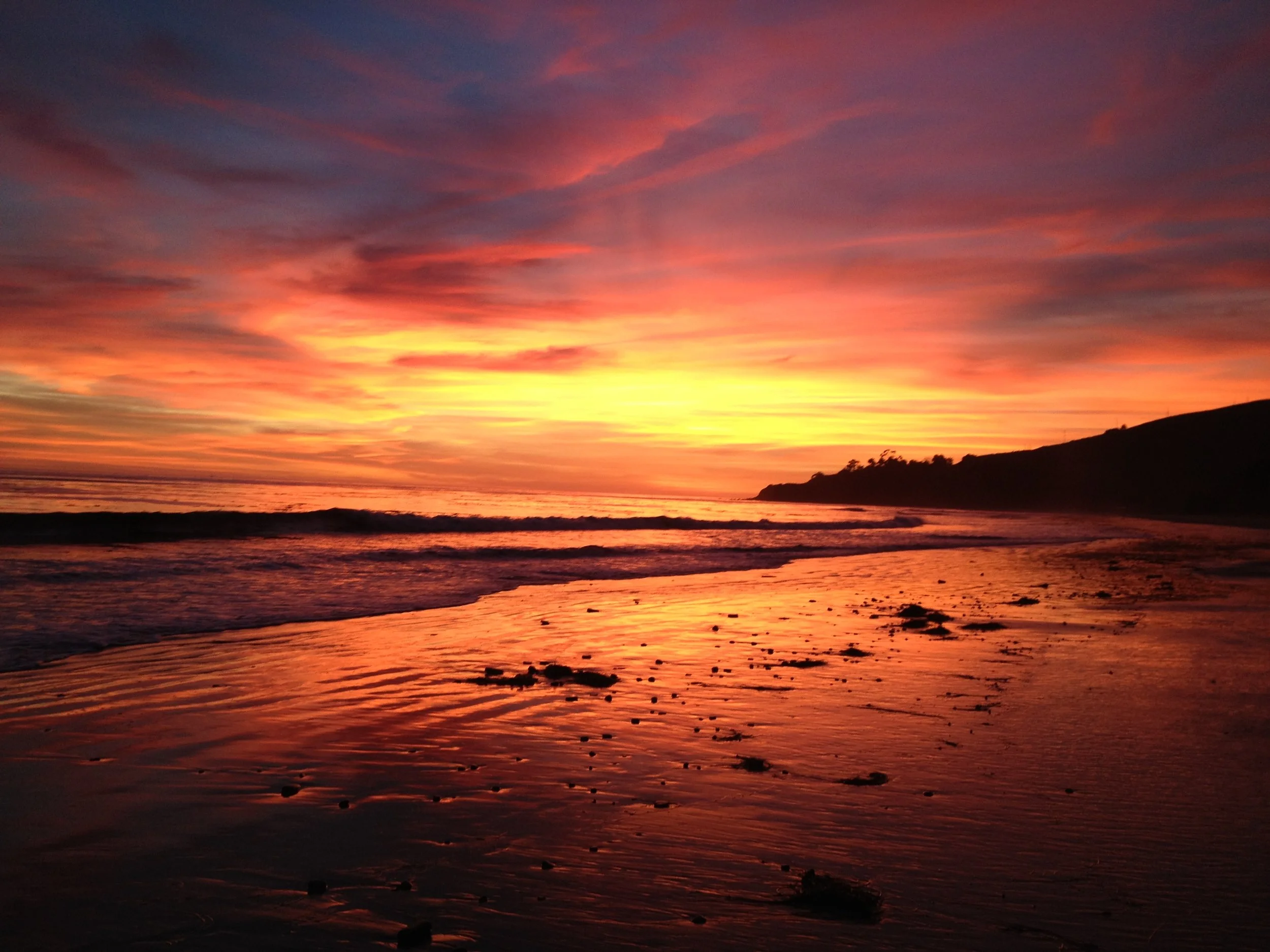 Cotton Candy Cat Dance