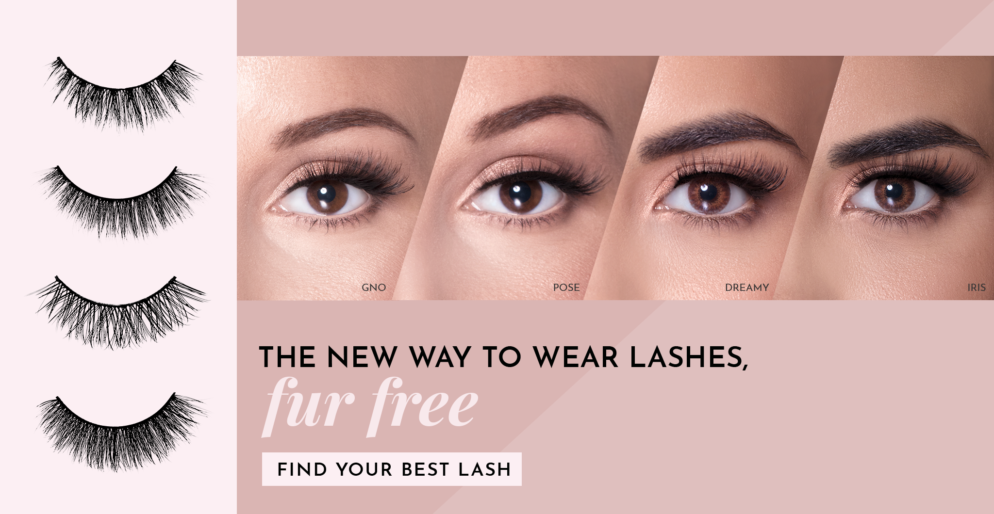 MOTD_2_Toplashes_Spotlight_Homepage_Banner.png