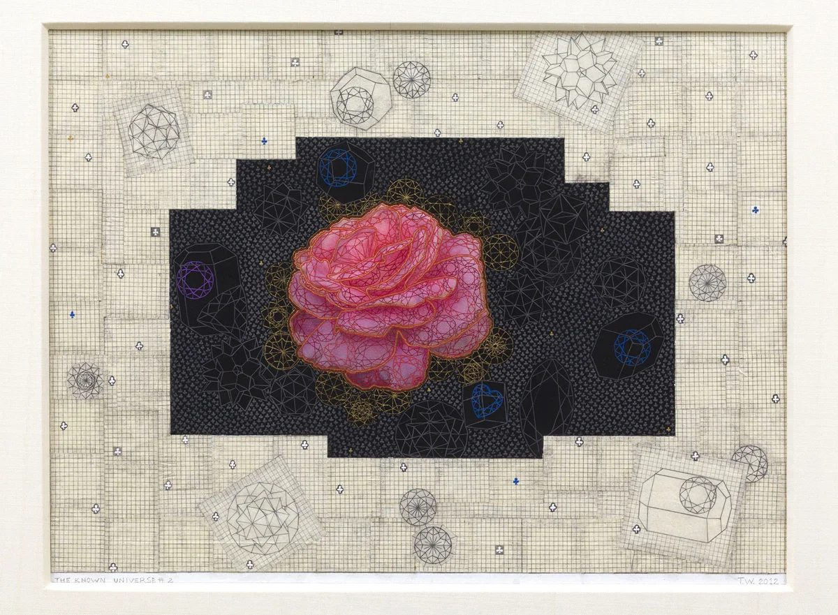 The Known Universe #2
