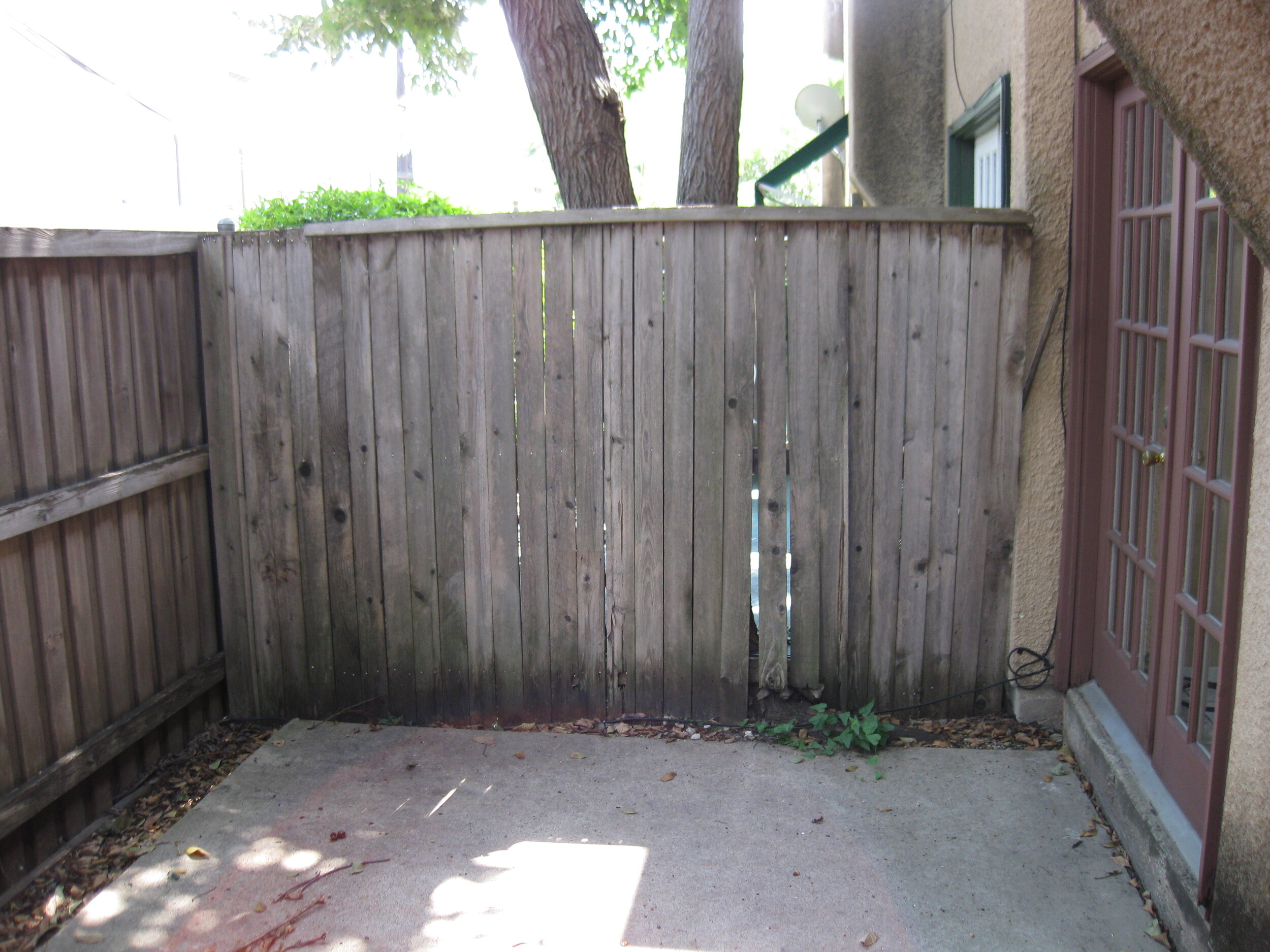 Backyard Right Before