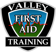 vfa logo.png