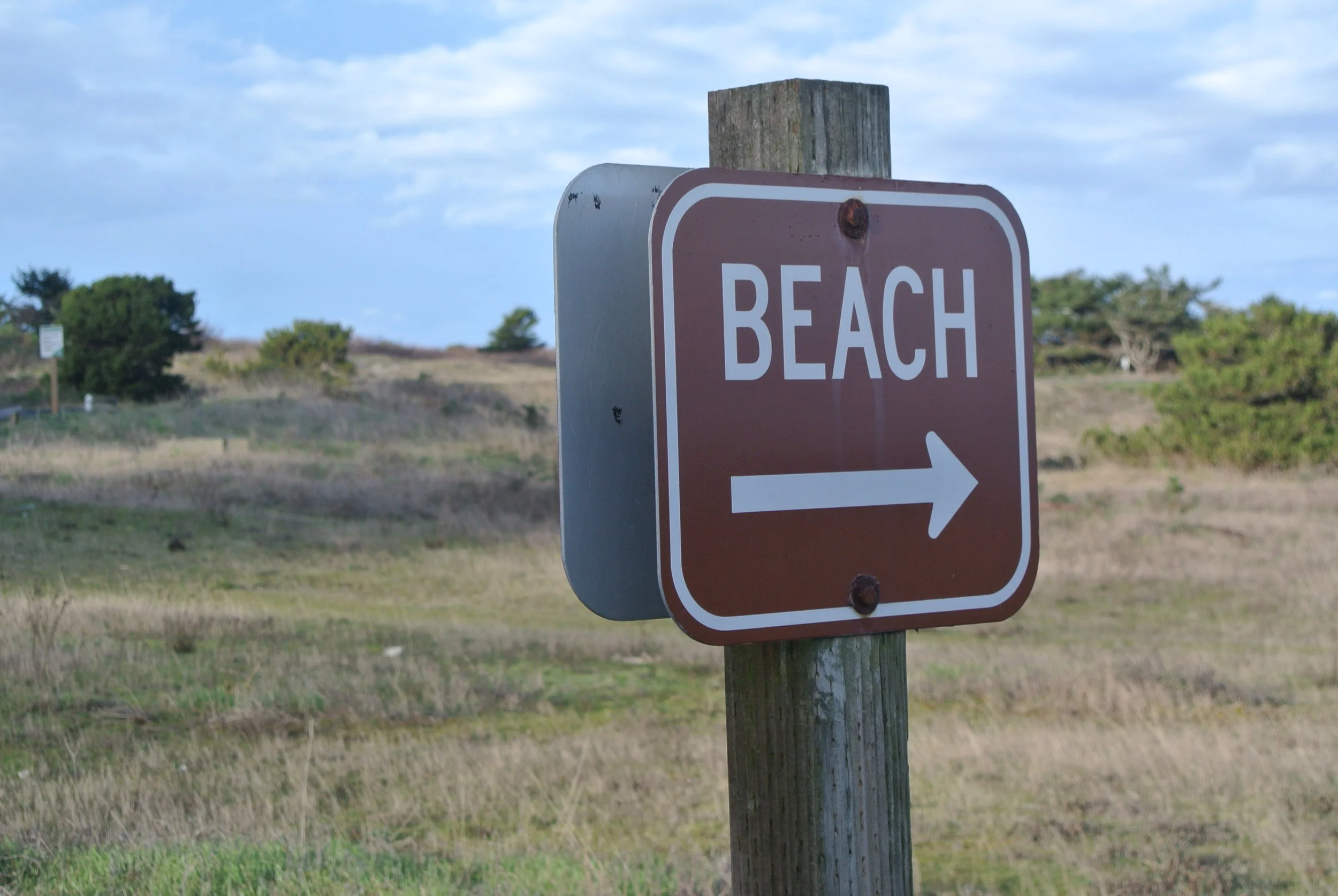 beach.jpg