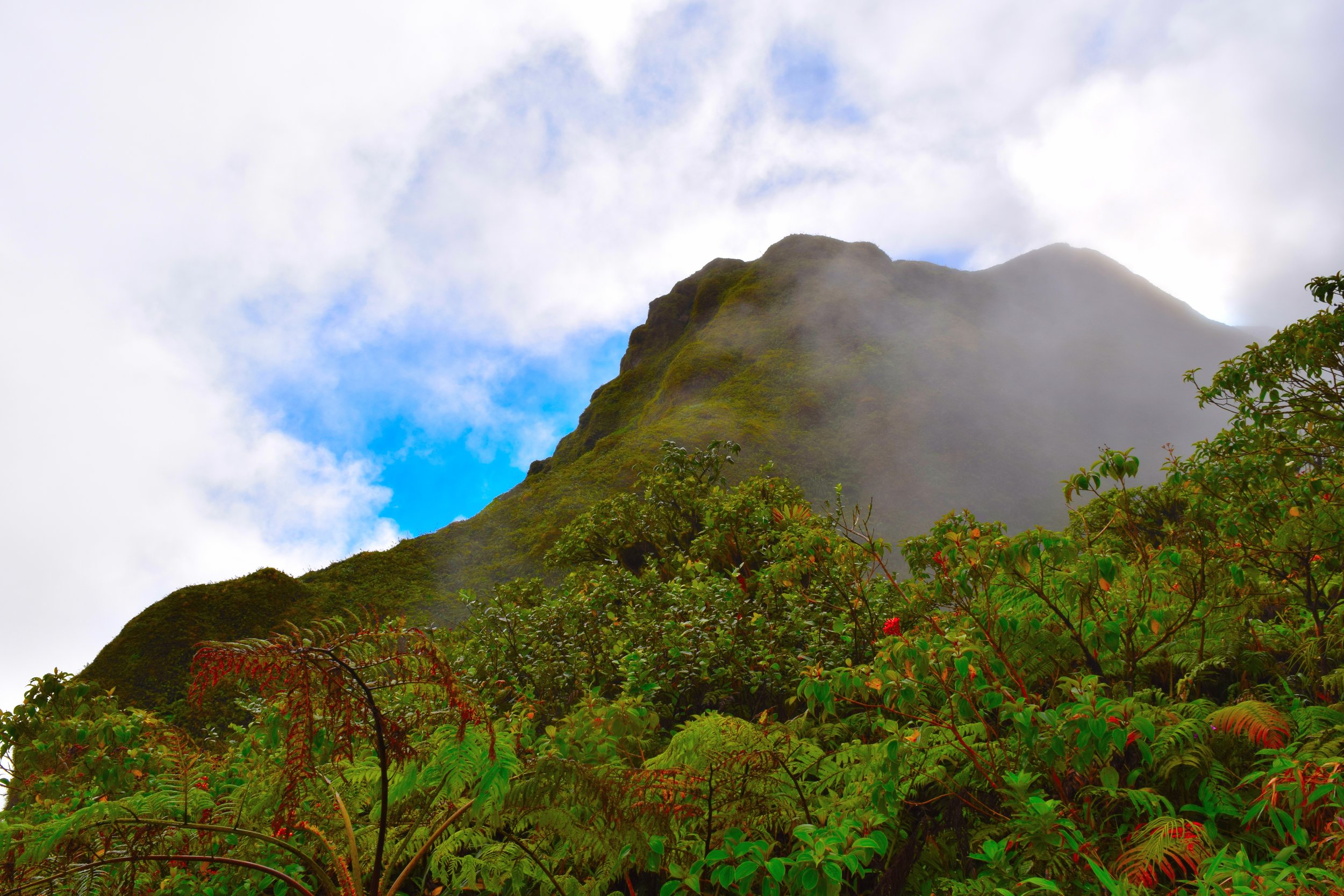 The beautiful Mt.Peele in Martinique.