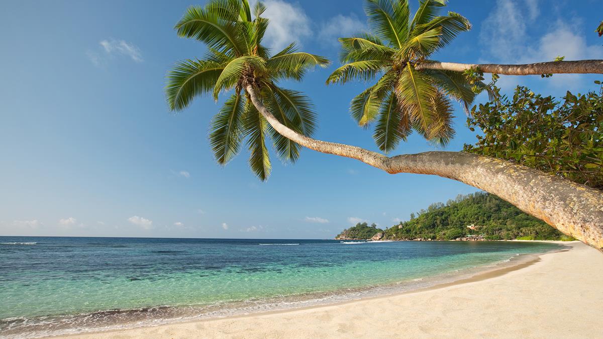 baielazarebeachwithpalmtrees.jpg;width=1200;height=675;mode=crop;anchor=middlecenter;autorotate=true;quality=75;scale=both;progressive=true;encoder=freeimage;format=jpg.jpeg