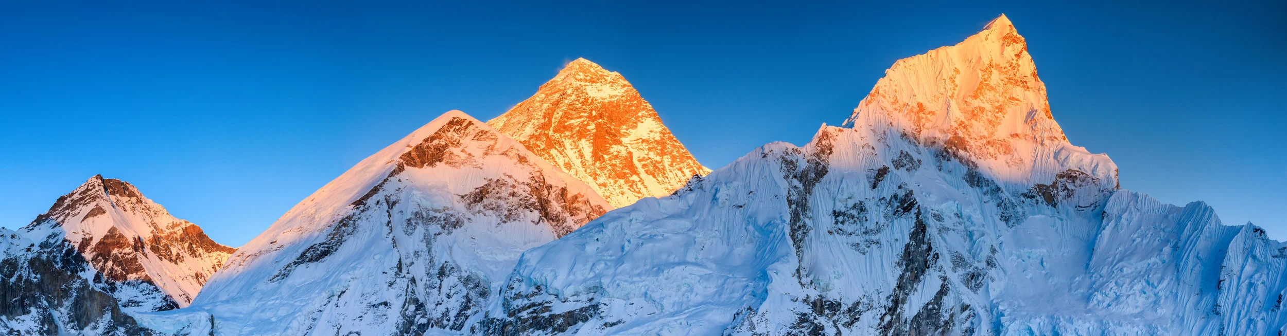Everest - Newsletters.jpg