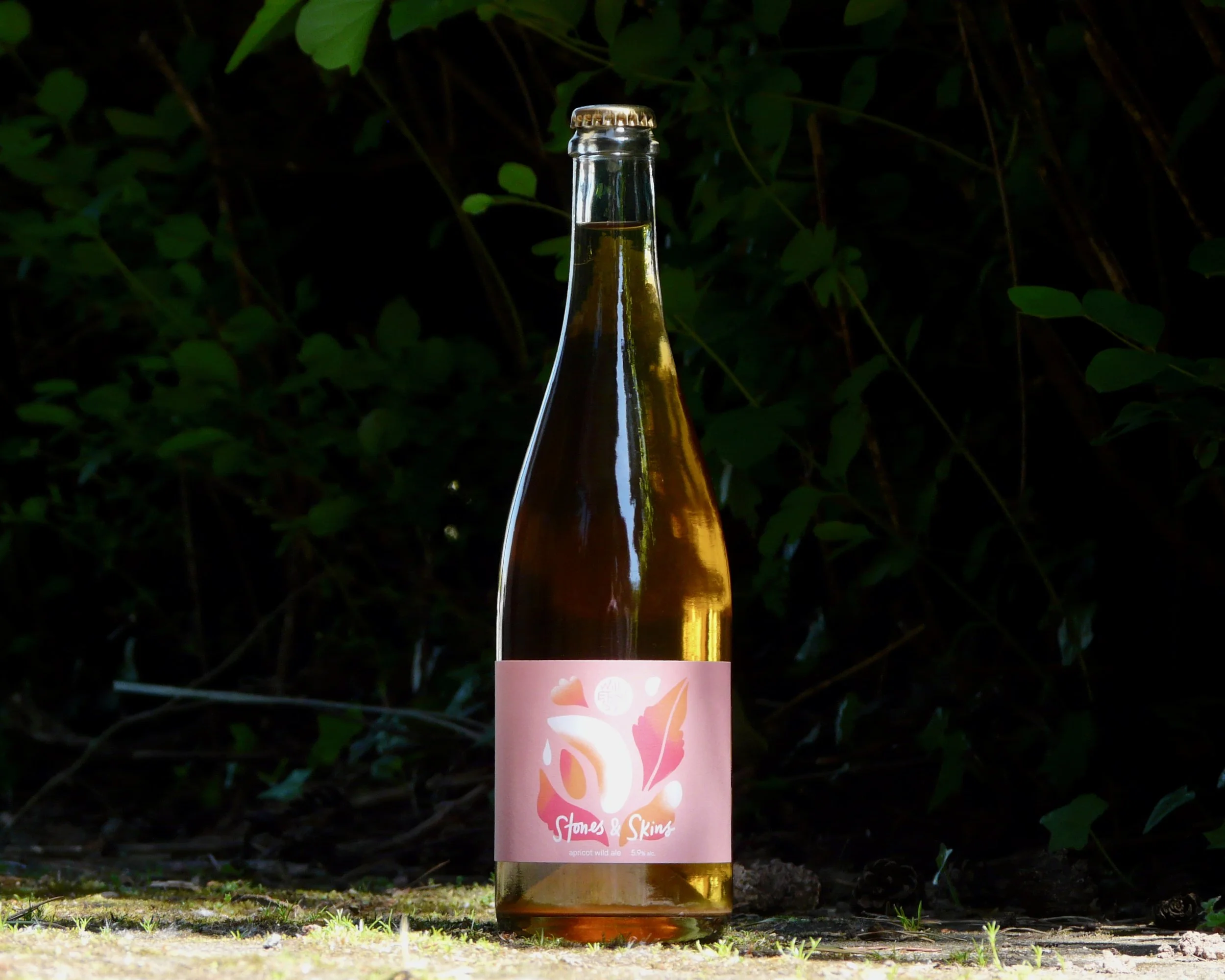 a bottle of stones and skins