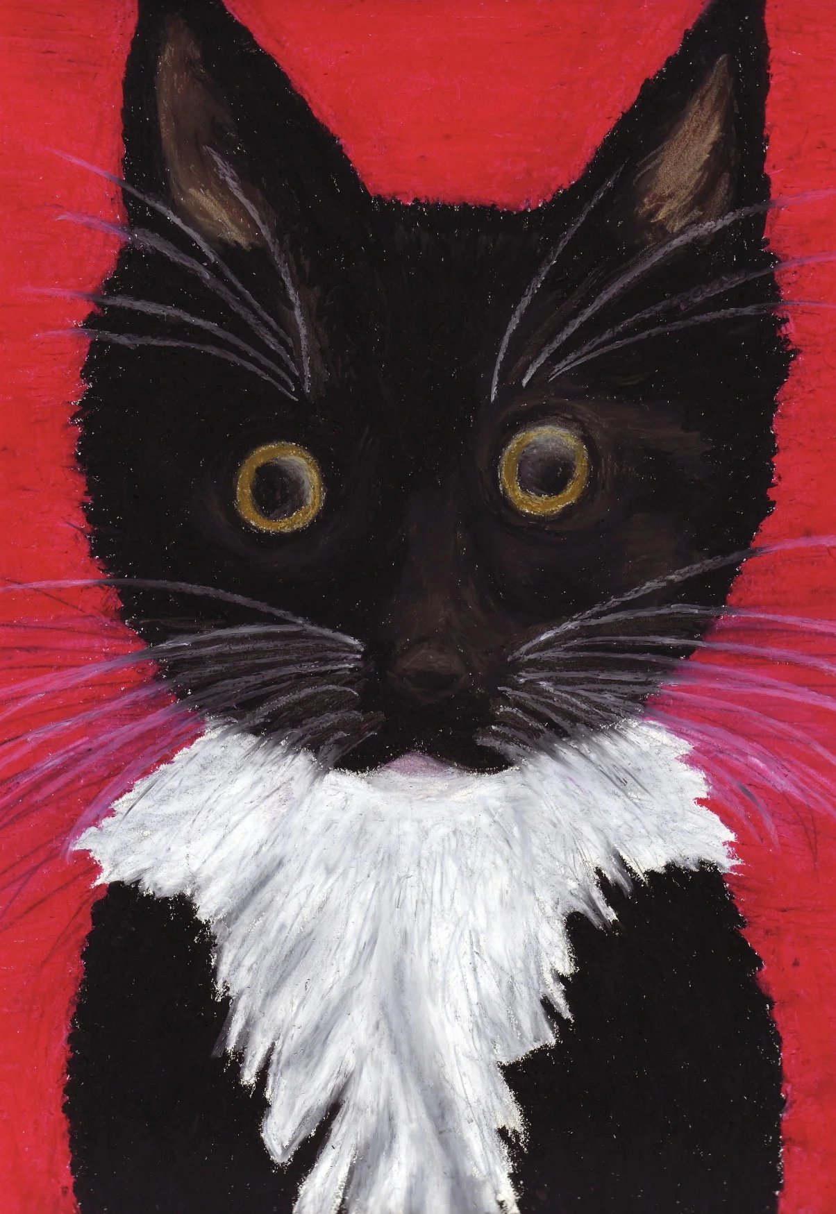 Class Cat (herbal tea)