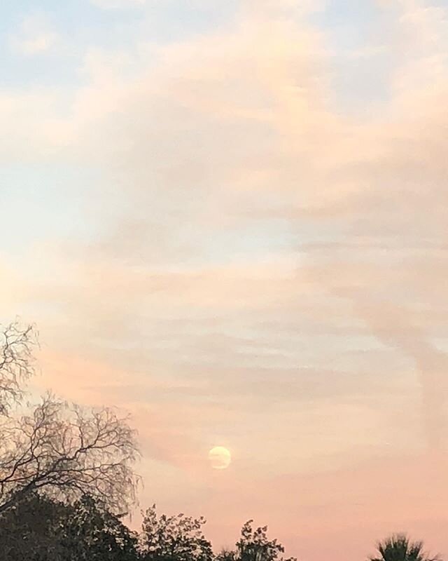 Happy super pink moon-the biggest and brightest of the year. I&rsquo;ll be singing some songs with @ragacalledtim from our home tonight at 7pm PST. See you there 🤍. Photo of me by the lovely @annastlouis ✨ 🌝💗