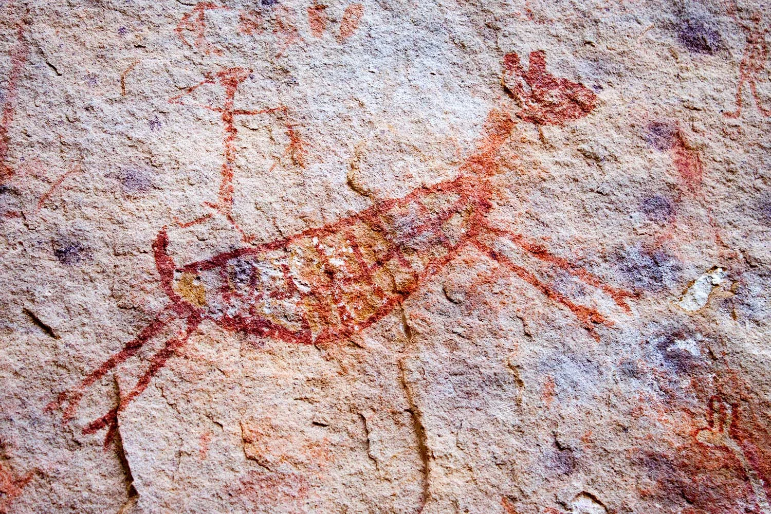 Piaui1.jpg