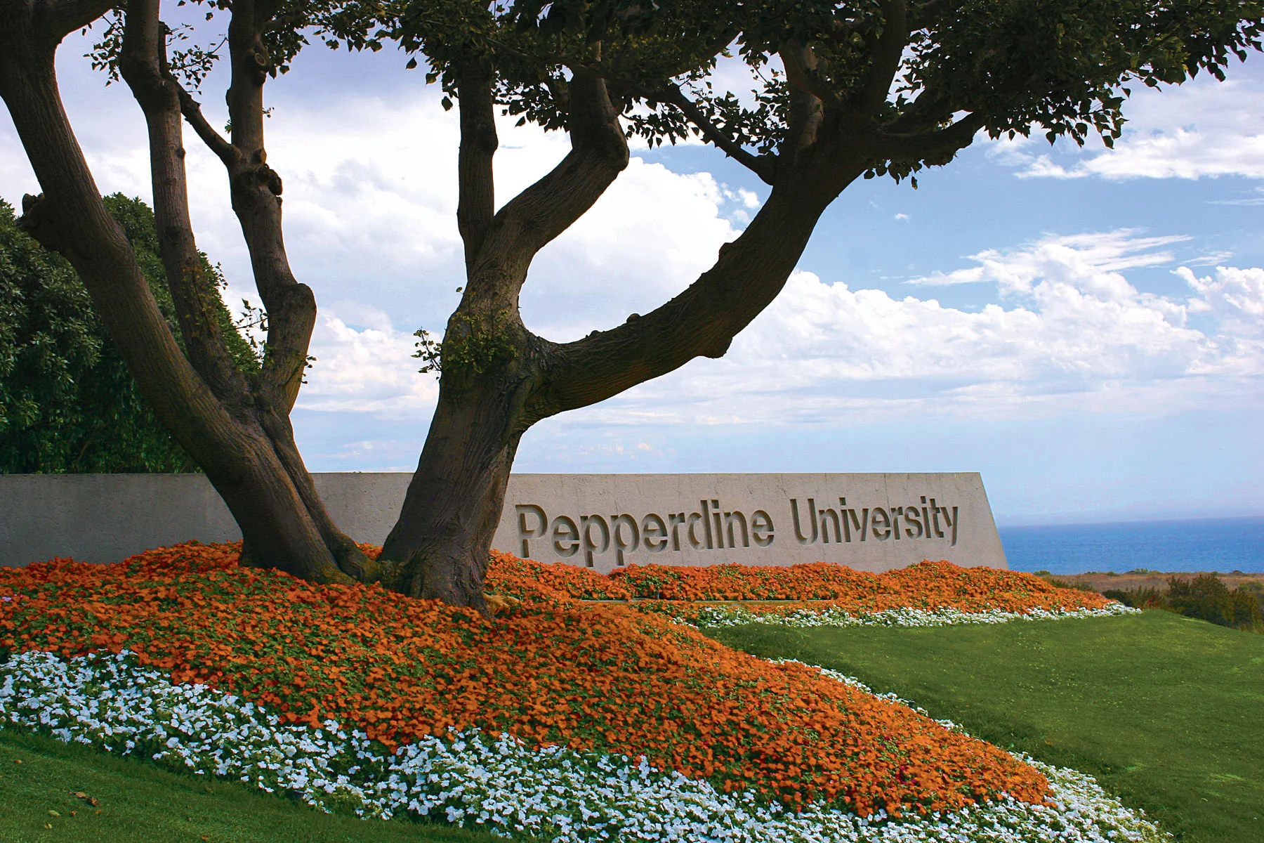 PepperdineMainImage.jpg