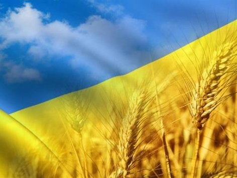 Ukraine's Independence Anniversary: American-Ukrainian Community Picnic in the Park