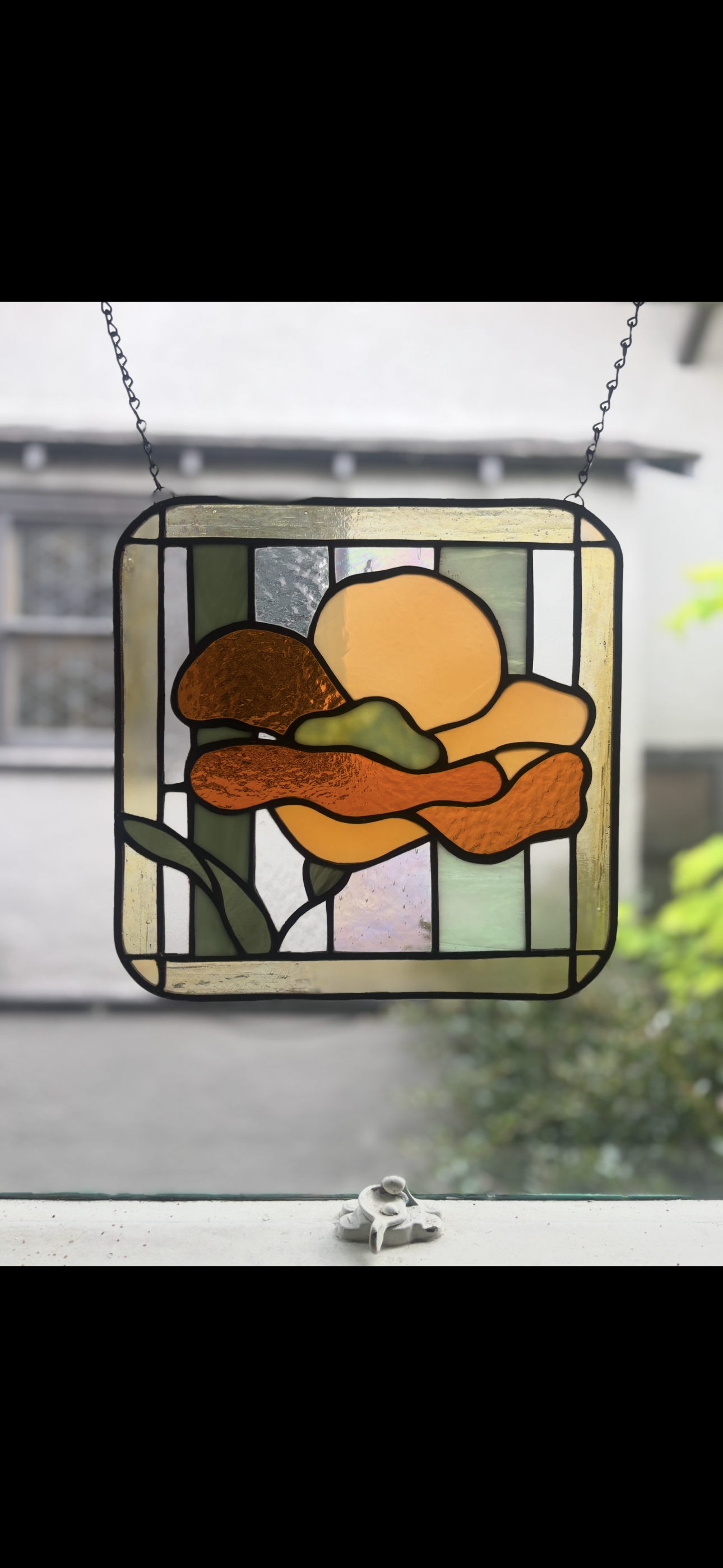 IMG_2383.PNG