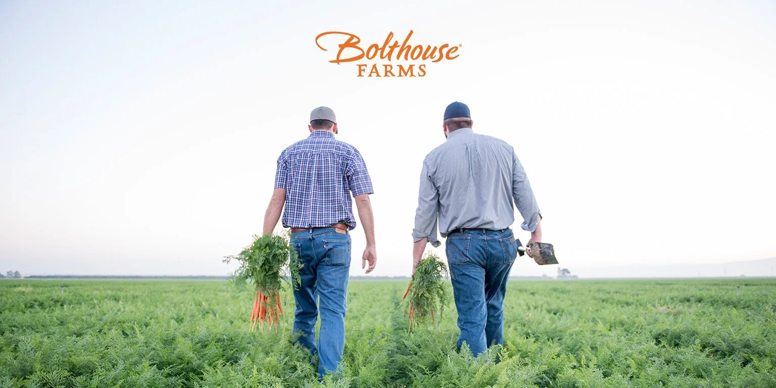 LinkedIn Banner_with logo_Option 1.jpg