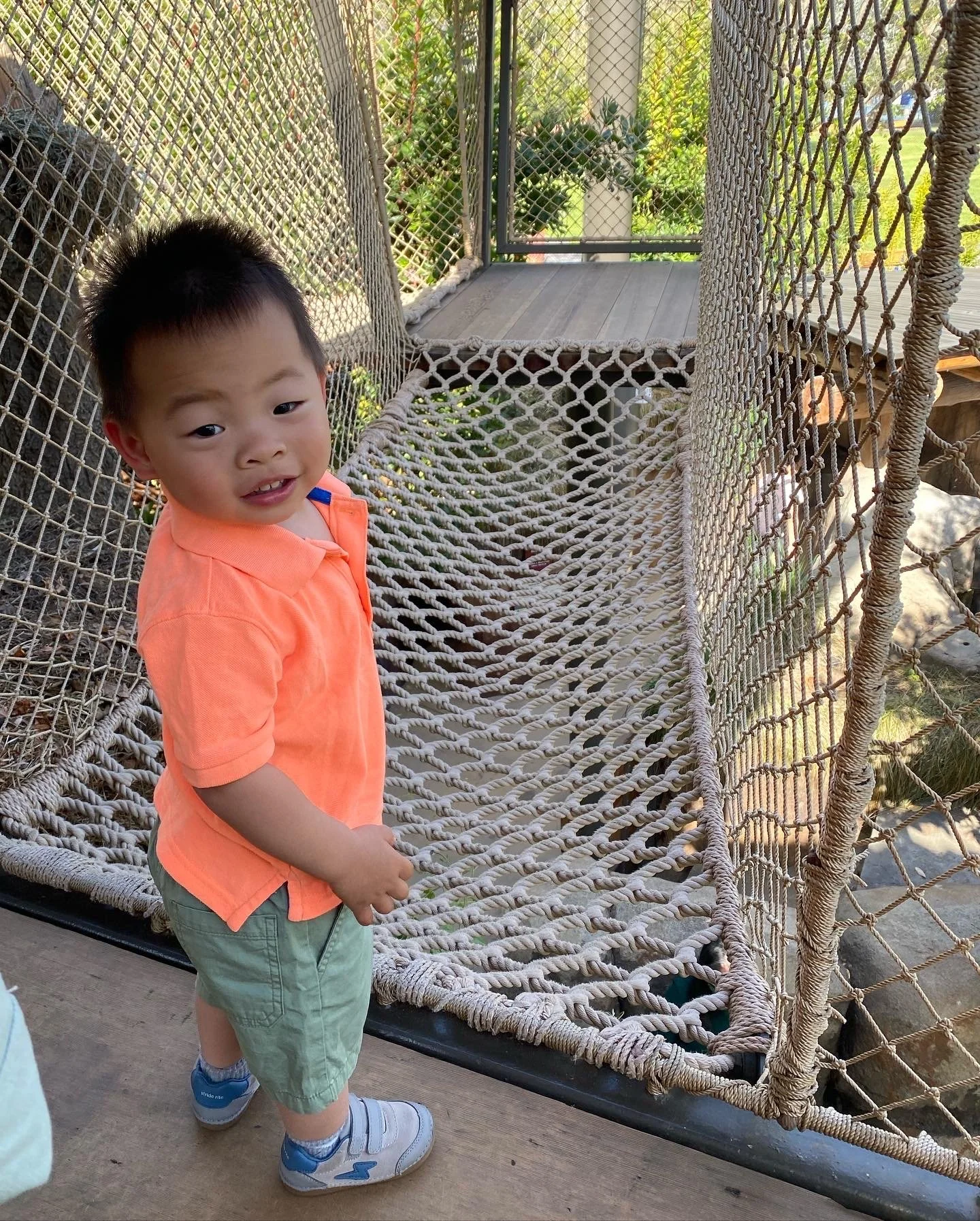 Meet Anson, Your Summer Scamper Patient Hero