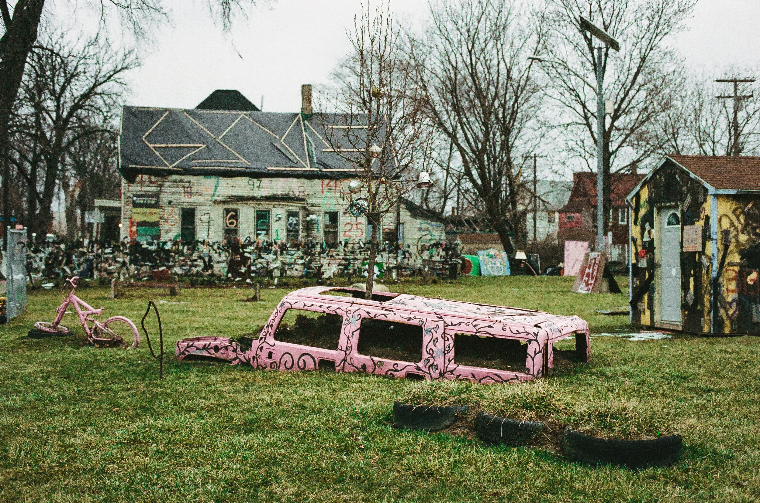 11820016.jpg