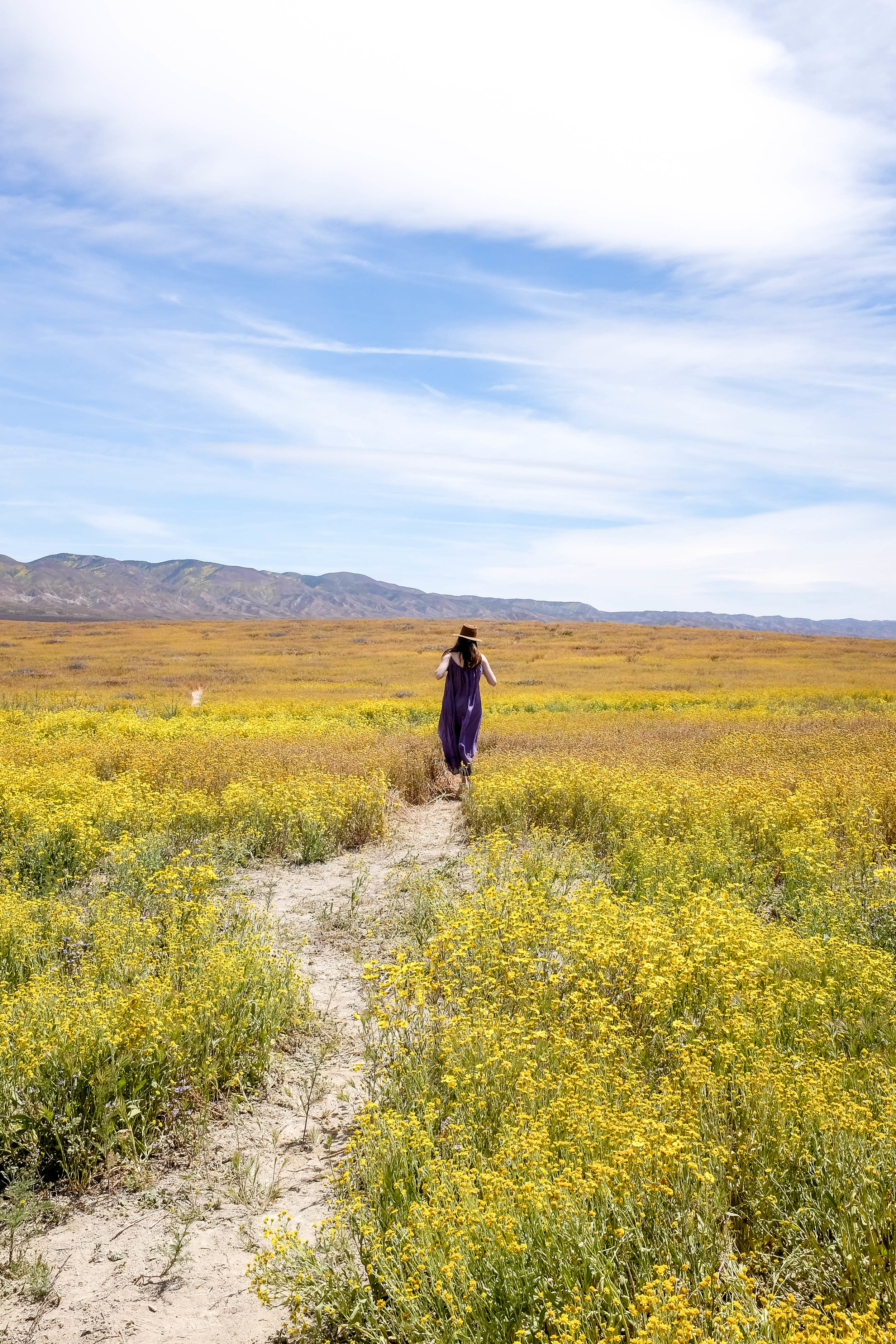 Running from bugs? Just frolicking? Unclear.