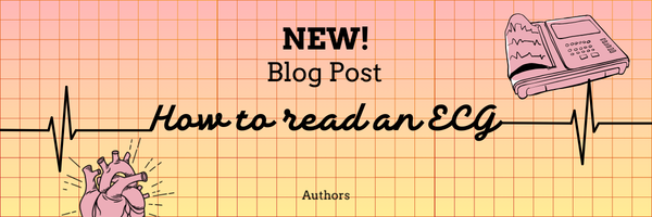 How to Read an ECG