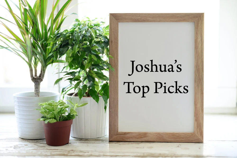 Joshua's Top PIck Image.jpg