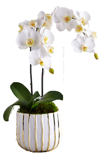White Orchid in White Gold Pot copy.png