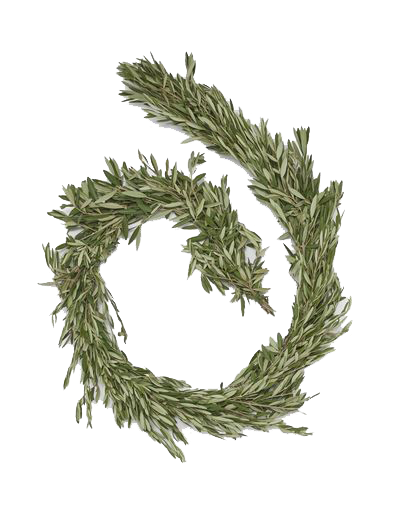 Olive Branch Garland copy.png