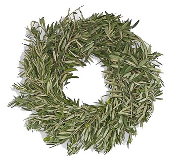 Olive Leaf Wreath copy.png