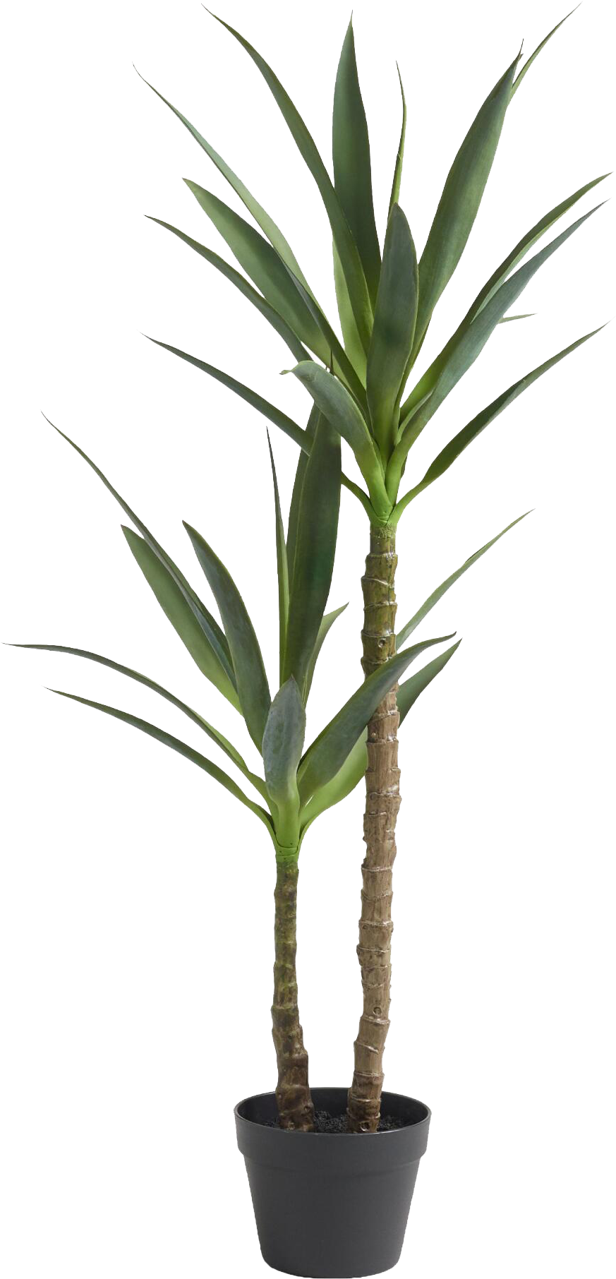 faux yucca tree.png