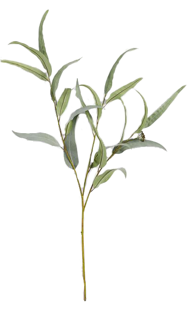 faux-eucalyptus-branch-1-o.png