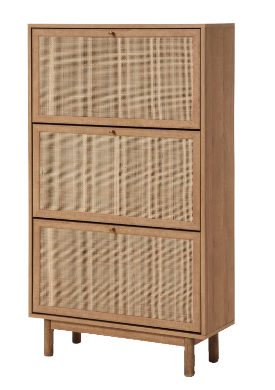 Ana Model Shoe Cabinet.png