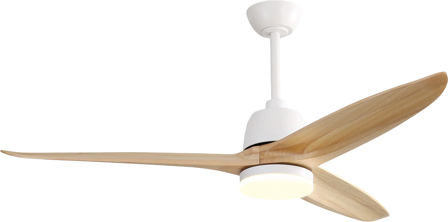   Nicola 56'' Ceiling Fan with LED Lights  