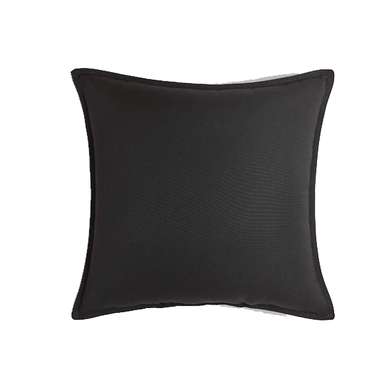 Sunbrella Black 20 x20 Outdoor Pillow.png