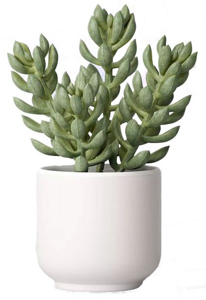 Artificial Succulent Plant.png