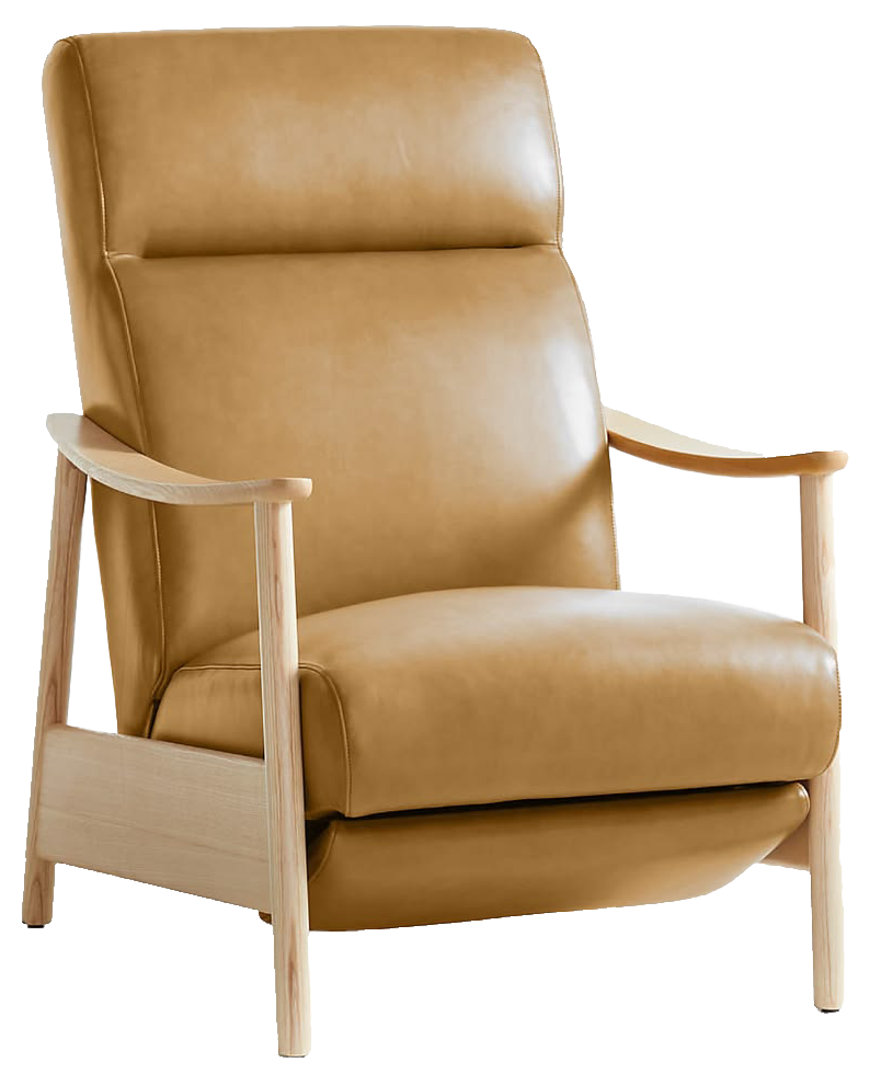Domingo Leather Reclining Accent Chair with Wood Frame.png
