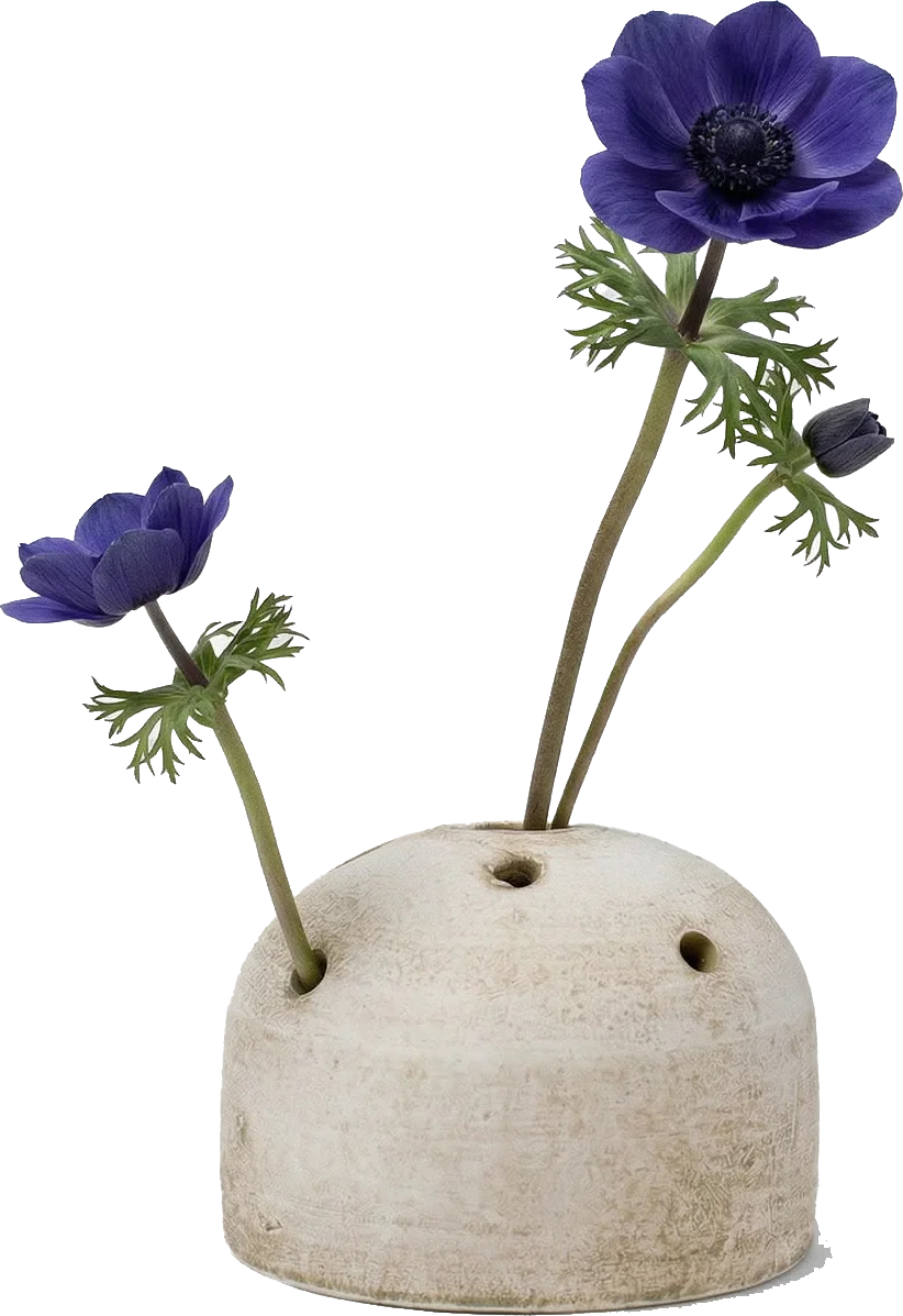 White Terra Cotta Frog Vase.webp