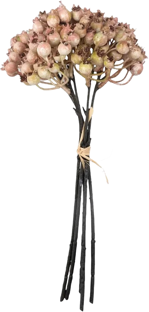 Rose Hip Bunch.webp