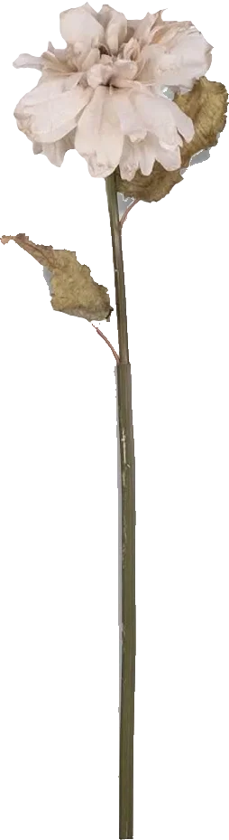 Faux Dahlia Stem.webp