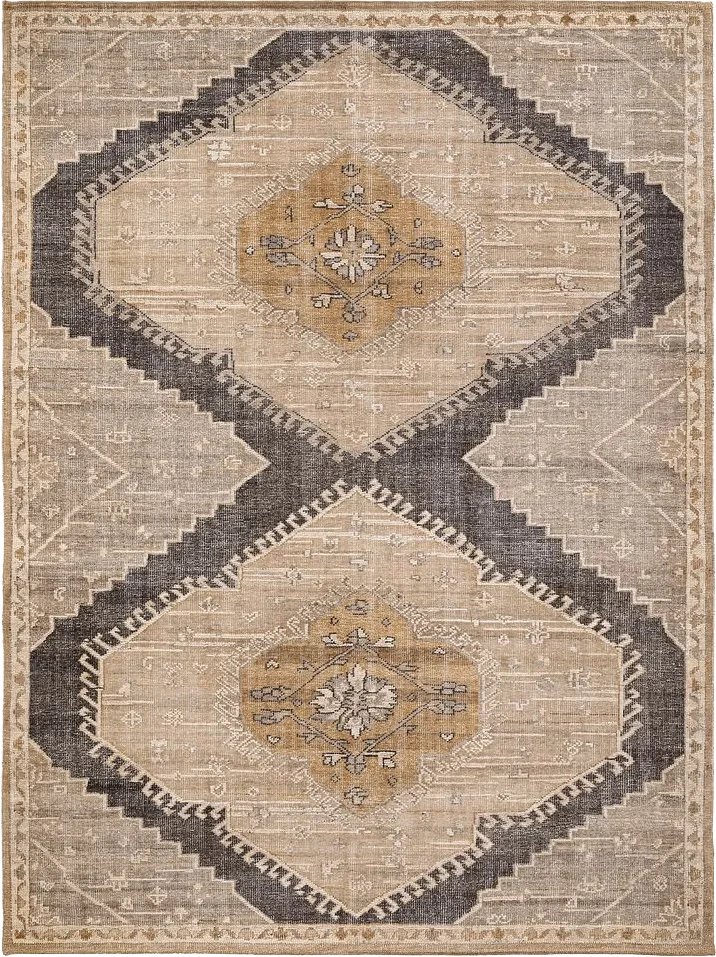 Demitria Hand-Knotted Outdoor Performance Rug.webp