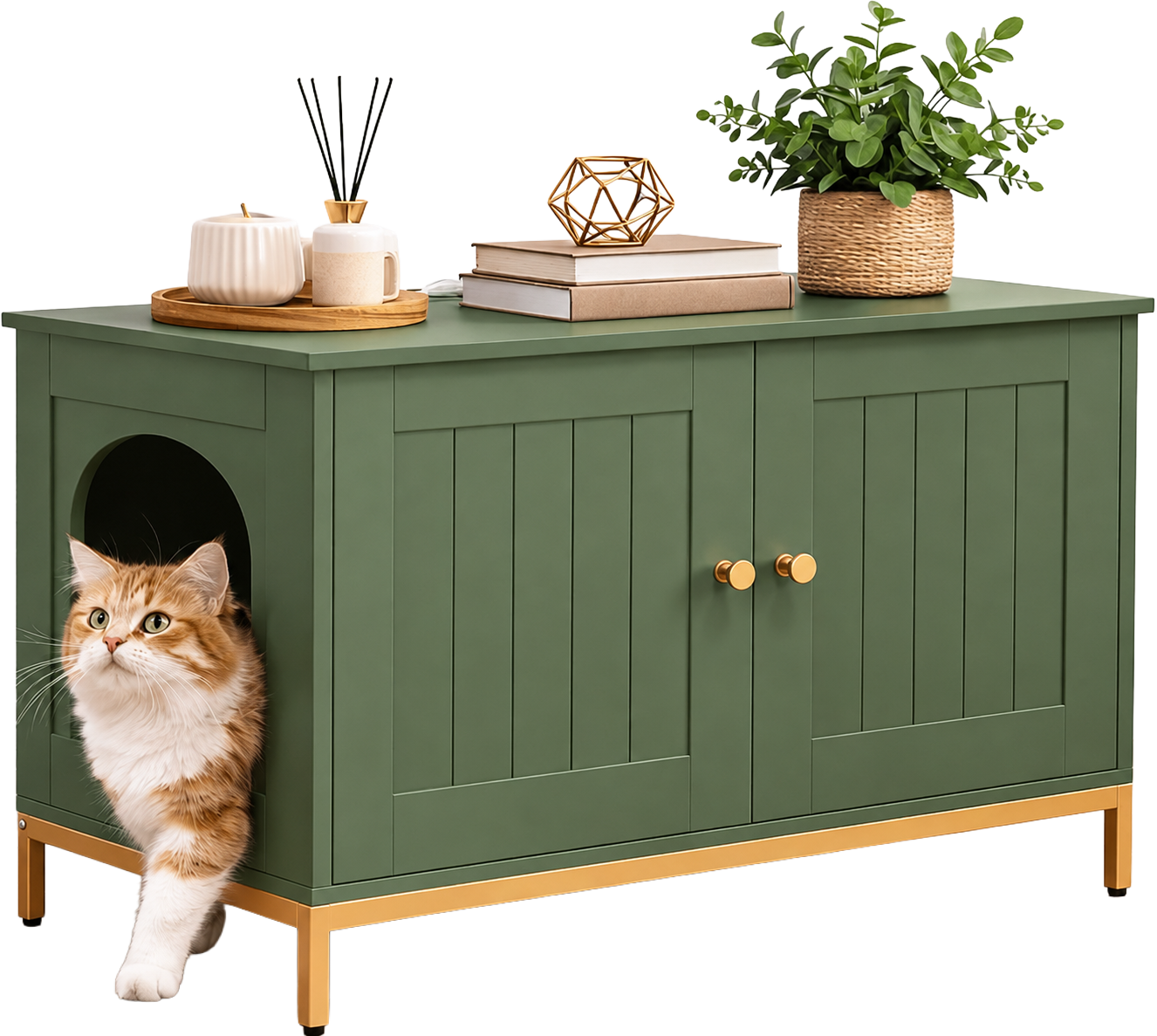 Cat Litter Box Enclosure & Storage Cabinet.png
