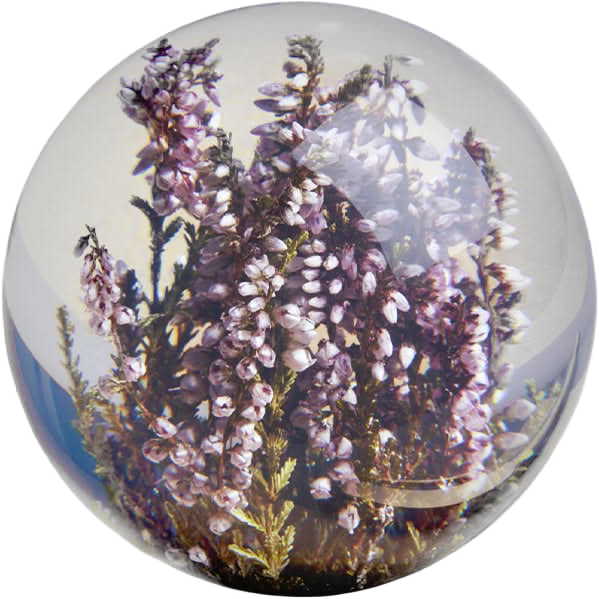 Heather Botanical Resin Paperweight.png