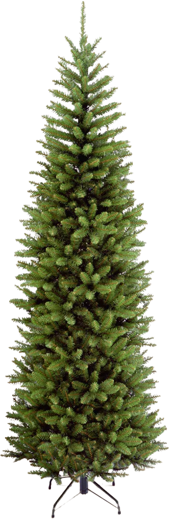 Fir Christmas Tree.png