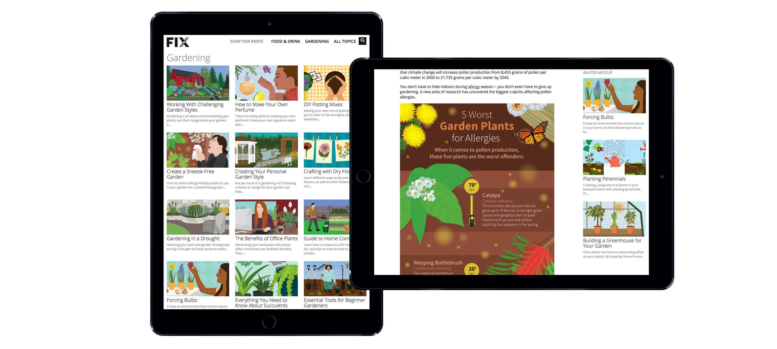 Design Management and Digital Content