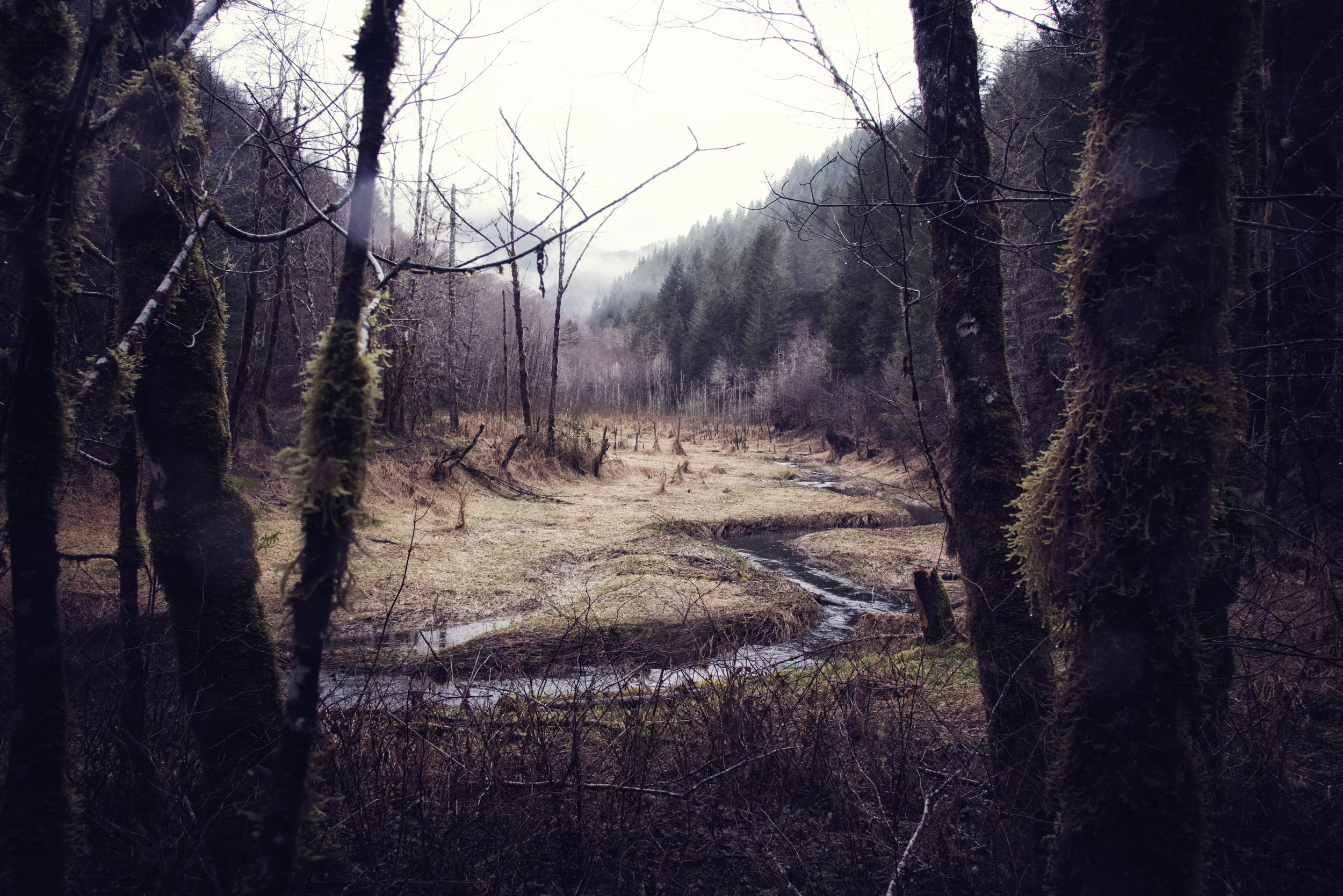 A River Runs Through It_resized.jpg