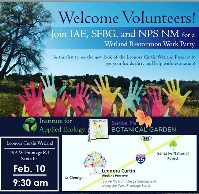 #Repost @nps.nm
#getyourhandsdirty #conservation #restoration
We will kick-off our work party with hot cocoa and an introduction to the restoration activities underway at this special wetland preserve. Last fall a 6 acre stand of the invasive tree, Russian olive, was removed to improve the wetland ecology of the preserve. We need your help removing cut wood and spreading mulch debris to prepare the site for spring growth and future restoration and seeding efforts.
RSVP: E-mail Yvonne at yvonne@appliedeco.org.