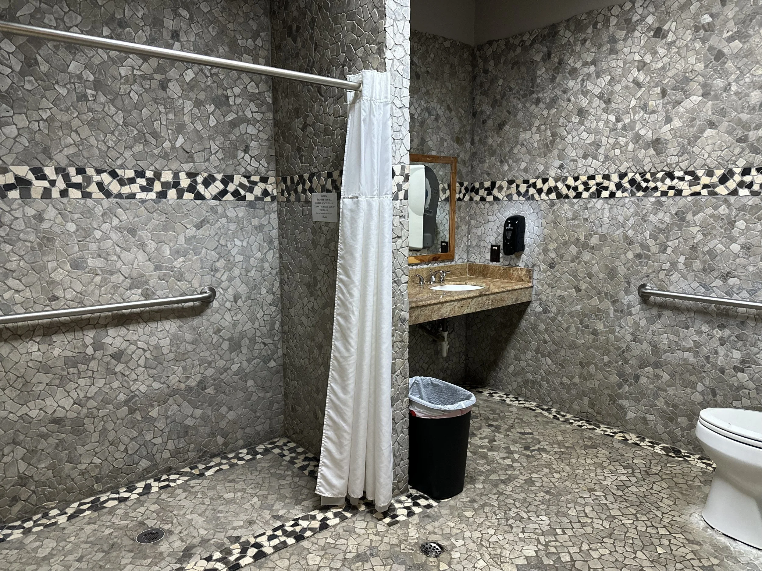 Shower Handicapped.jpeg