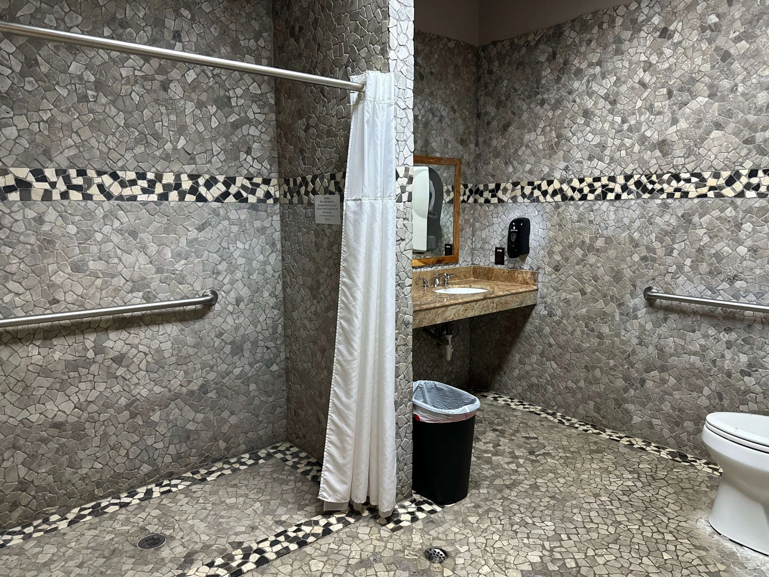 Shower Handicapped.jpeg