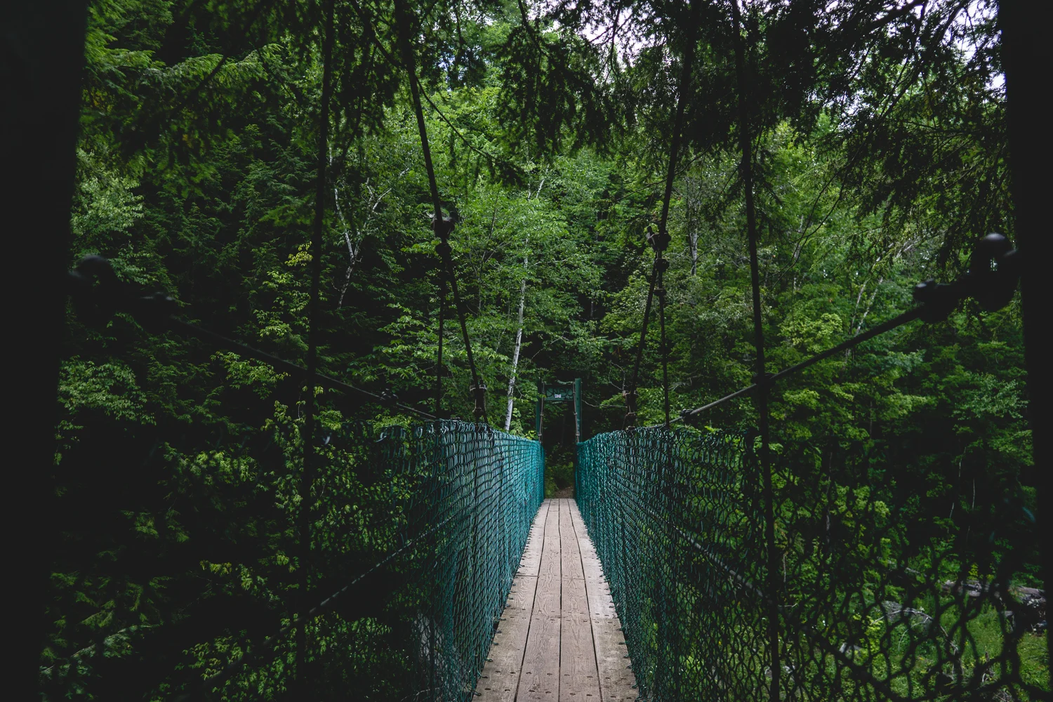 BRIDGE.jpg