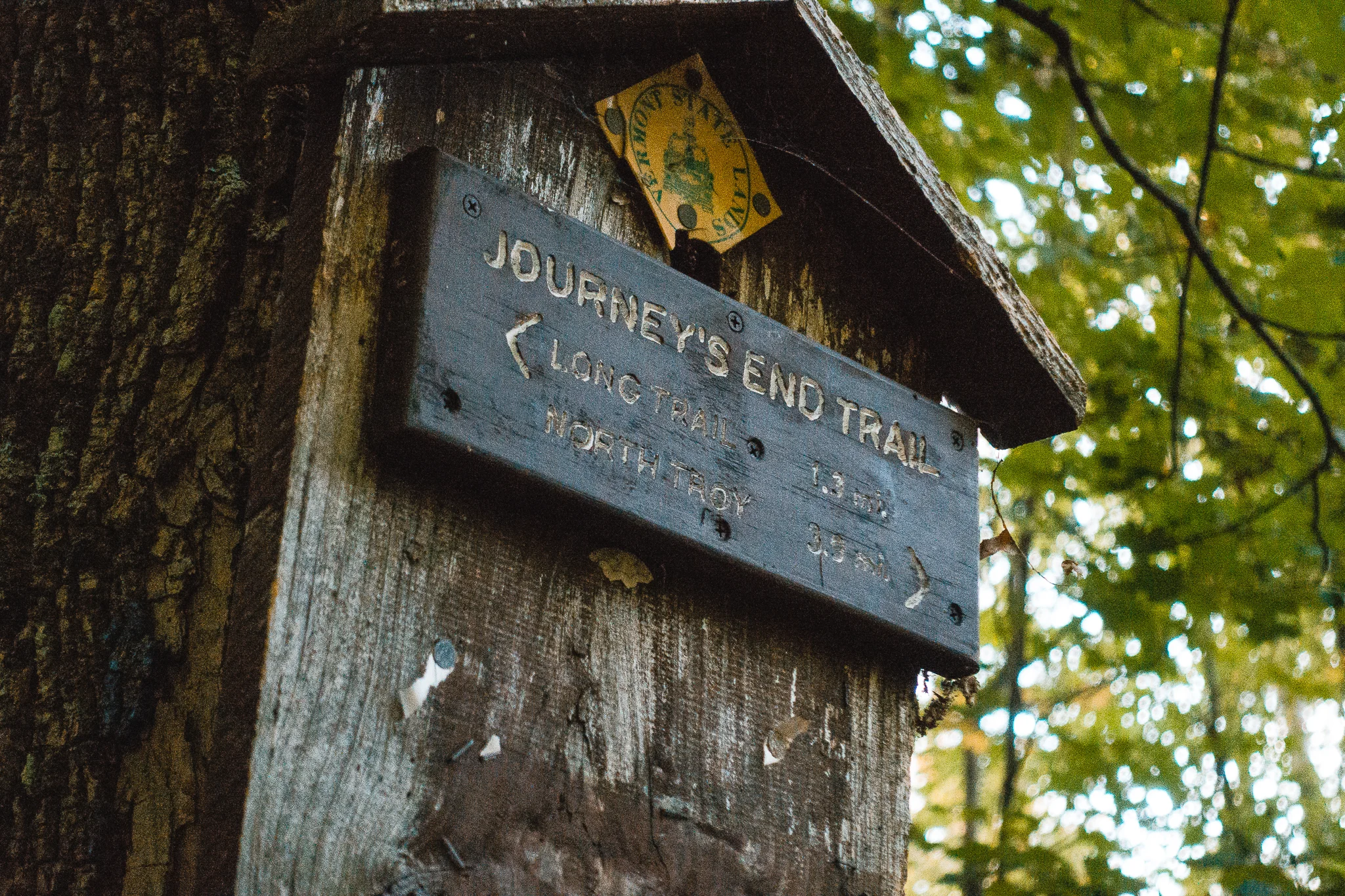 The Long Trail Gallery.jpg