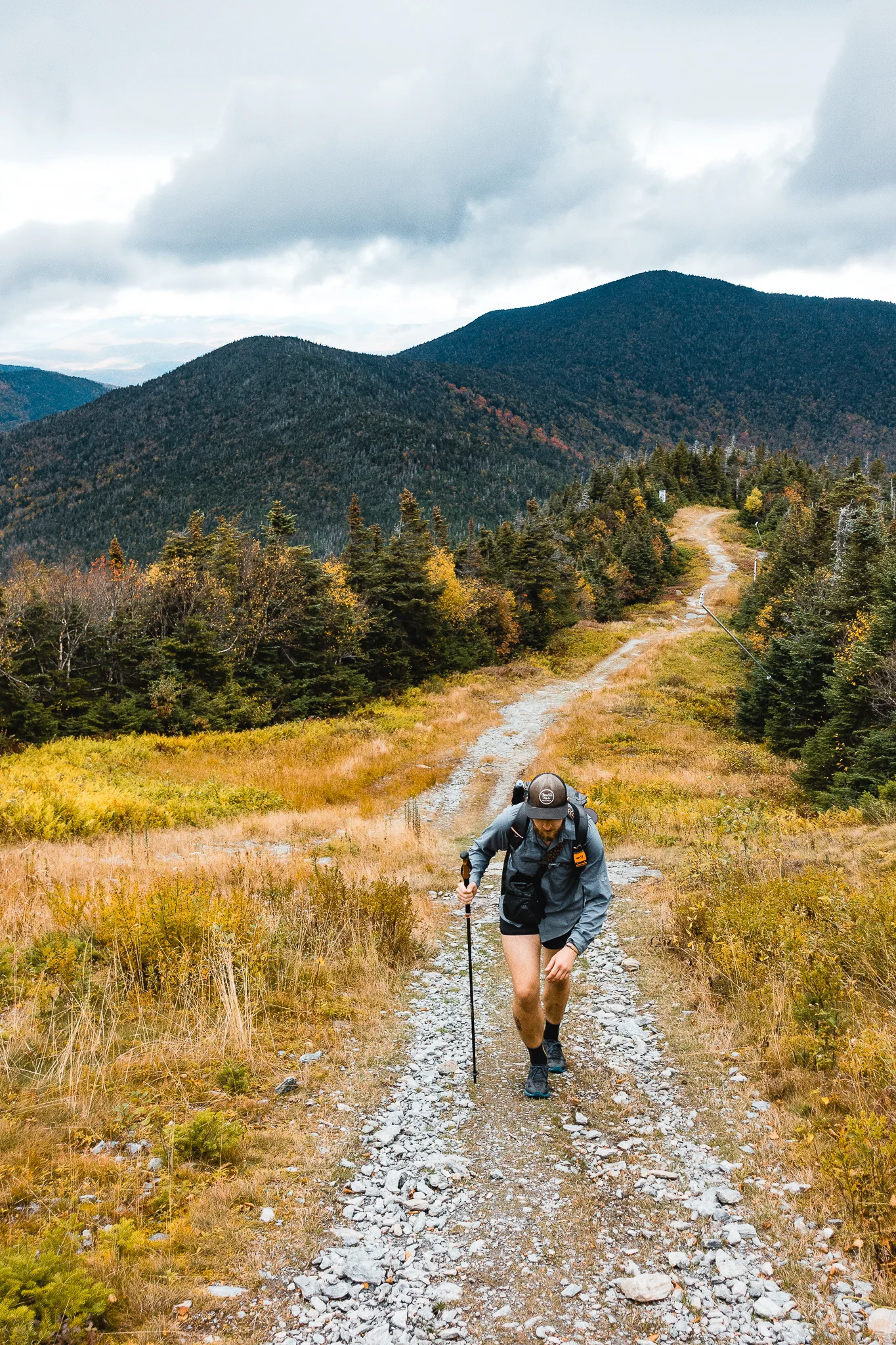 The Long Trail Gallery-19.jpg