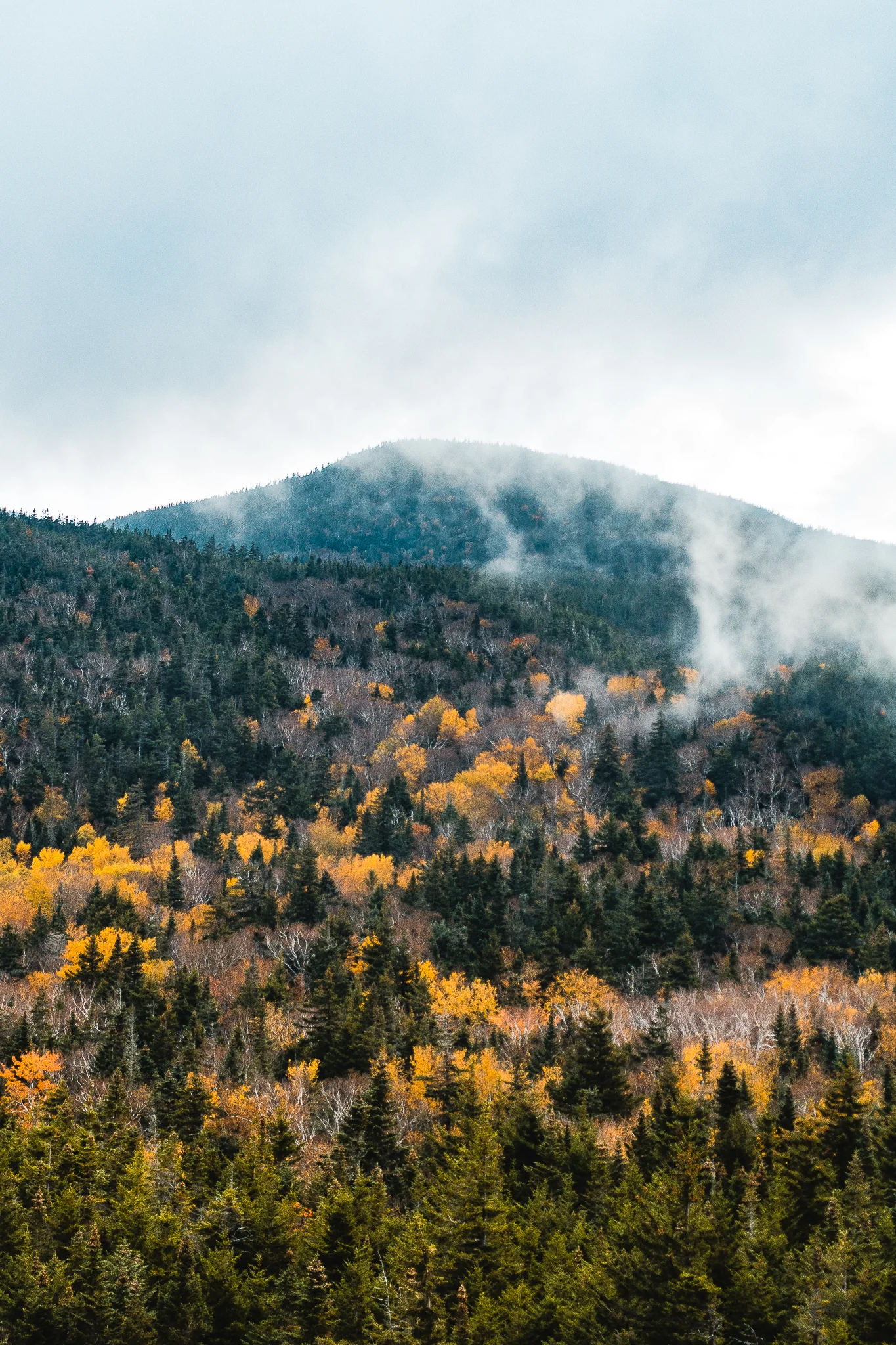 The Long Trail Gallery-30.jpg